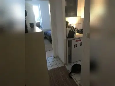 Vorschaubild 1