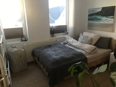 Vorschaubild 6