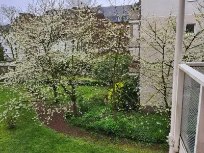 Vorschaubild 6