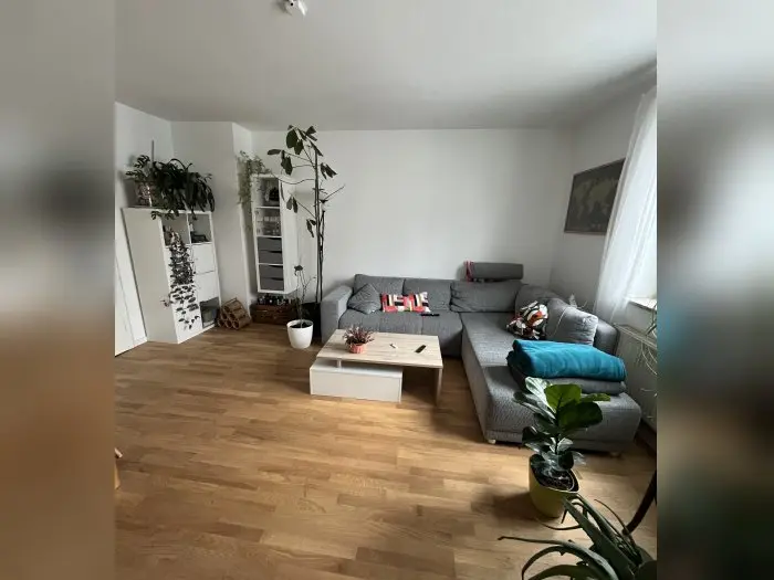 Vorschaubild 2