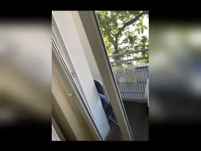 Vorschaubild 2