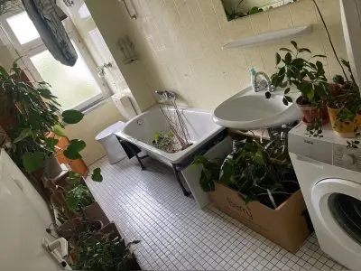 Vorschaubild 2