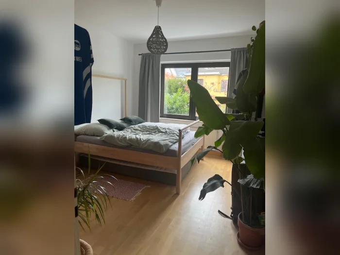 Vorschaubild 1