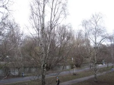 Vorschaubild 2