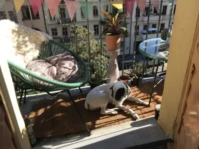 Vorschaubild 4