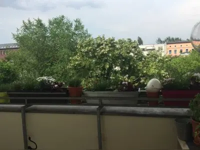 Vorschaubild 2