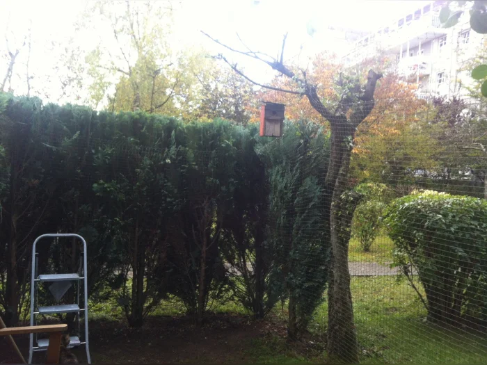 Vorschaubild 2