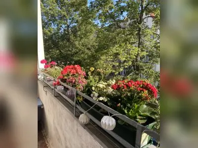 Vorschaubild 5
