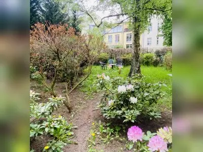 Vorschaubild 2
