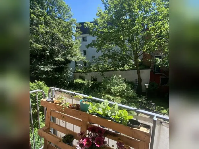 Vorschaubild 2