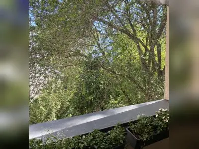 Vorschaubild 4