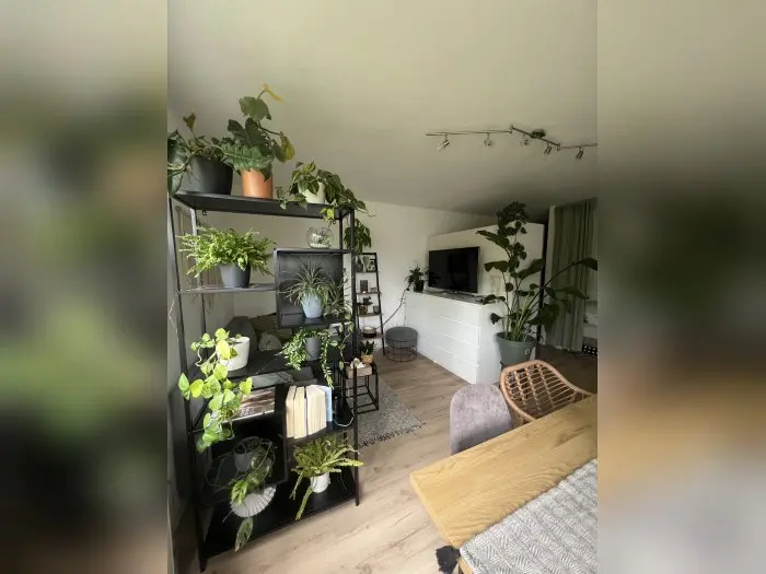 Vorschaubild 1