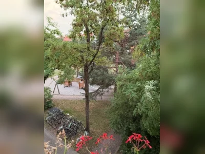 Vorschaubild 12
