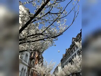Vorschaubild 6