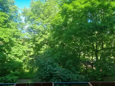 Vorschaubild 7