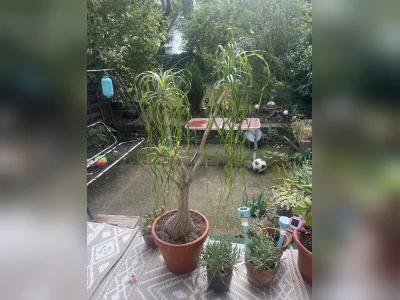 Große 2 Raum Wohnung mit Terrasse