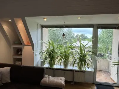 Vorschaubild 2