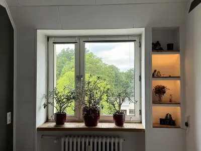 Vorschaubild 5
