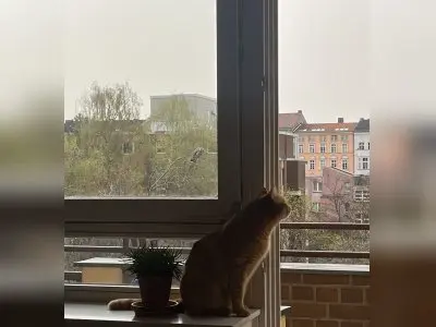 Vorschaubild 5