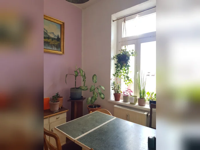 Vorschaubild 1