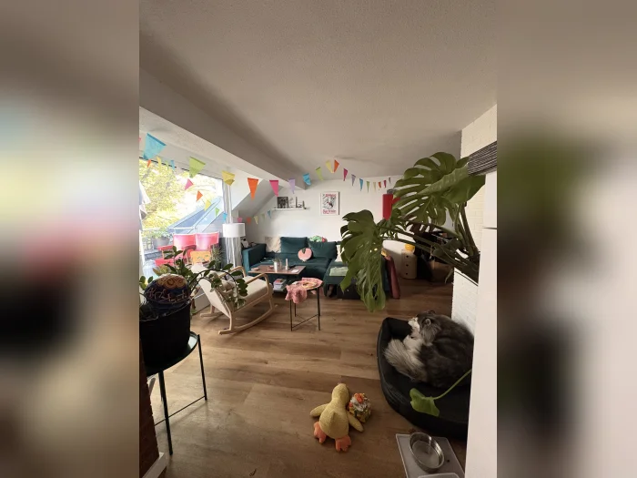 Vorschaubild 3