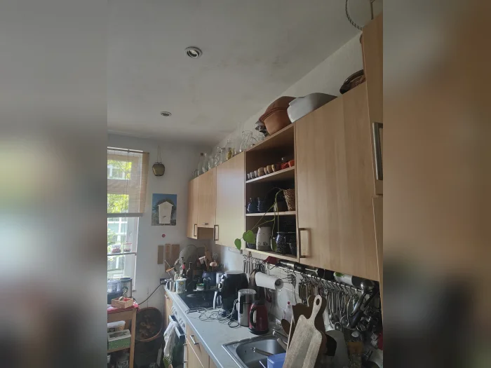 Vorschaubild 2