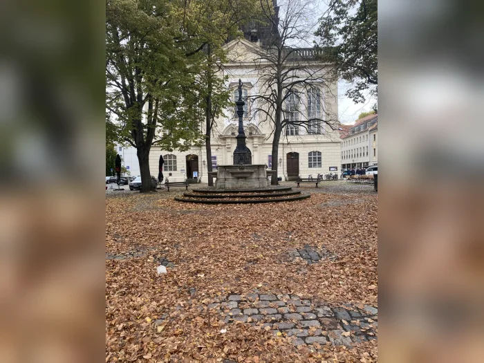 Vorschaubild 7