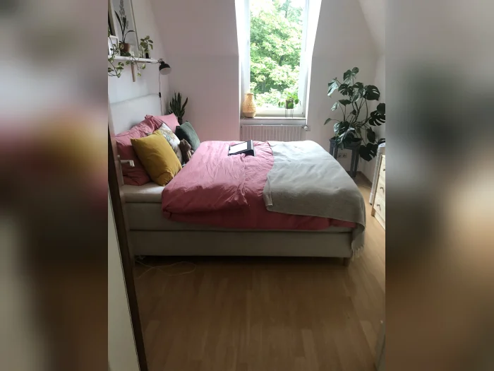 Vorschaubild 7