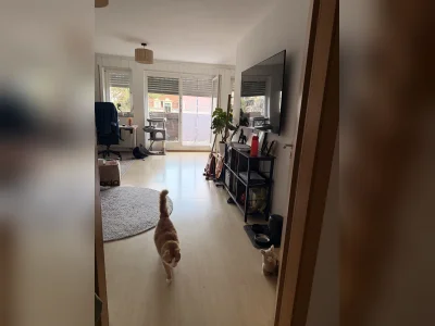 Vorschaubild 9