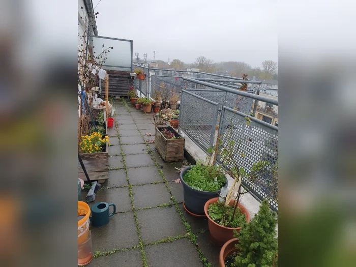 Vorschaubild 2