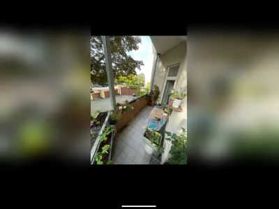 Vorschaubild 13