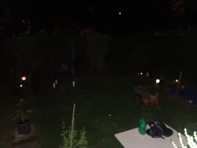 Vorschaubild 10