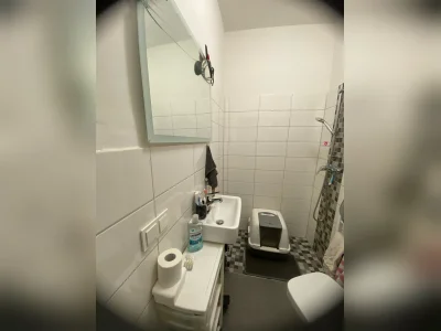 Vorschaubild 5
