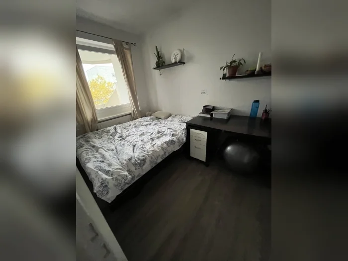 Vorschaubild 2