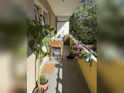 Vorschaubild 3