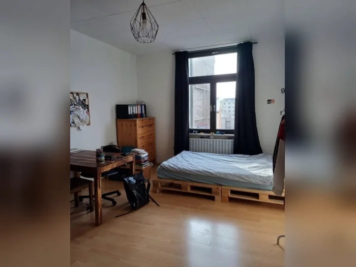 Vorschaubild 1