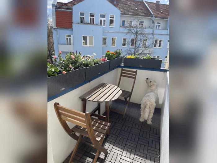 Vorschaubild 6