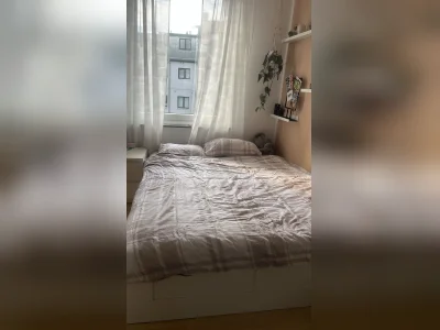 Vorschaubild 1