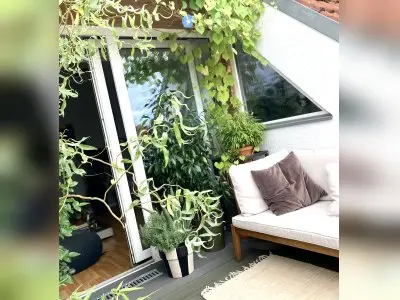 Vorschaubild 7