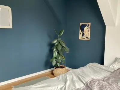 Vorschaubild 5