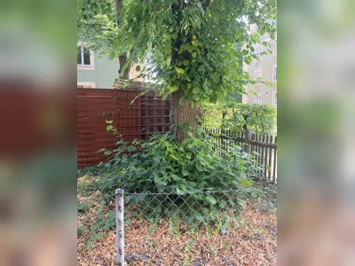Vorschaubild 11