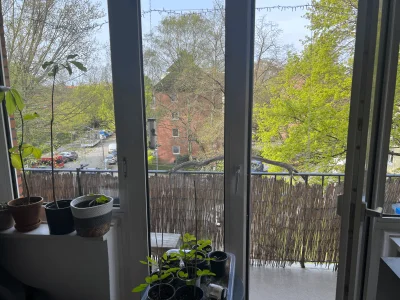 Hamburg 2ZKB mit Balkon und Dielenboden, Suche Leipzig