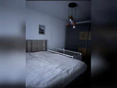 Vorschaubild 7