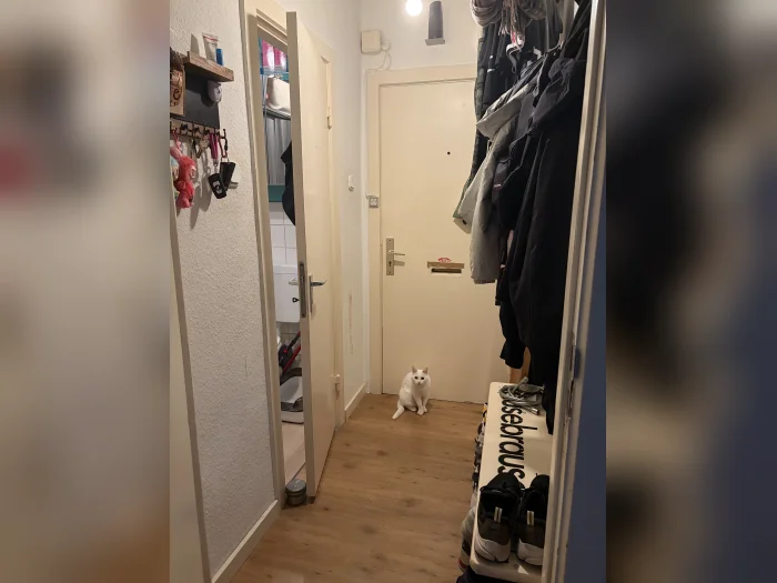 Vorschaubild 1