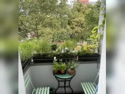 Vorschaubild 8