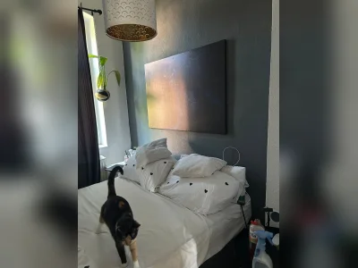 Vorschaubild 13