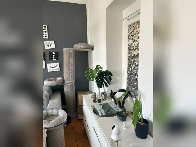 Vorschaubild 9