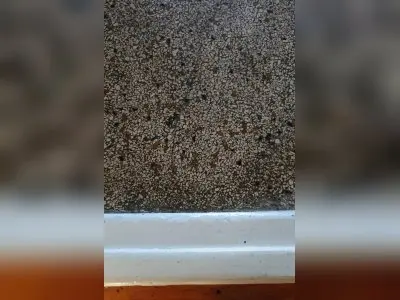 Vorschaubild 7