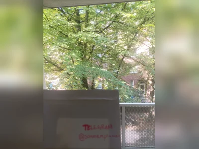 Vorschaubild 6