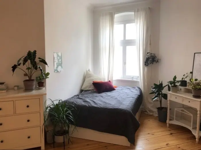 Vorschaubild 2